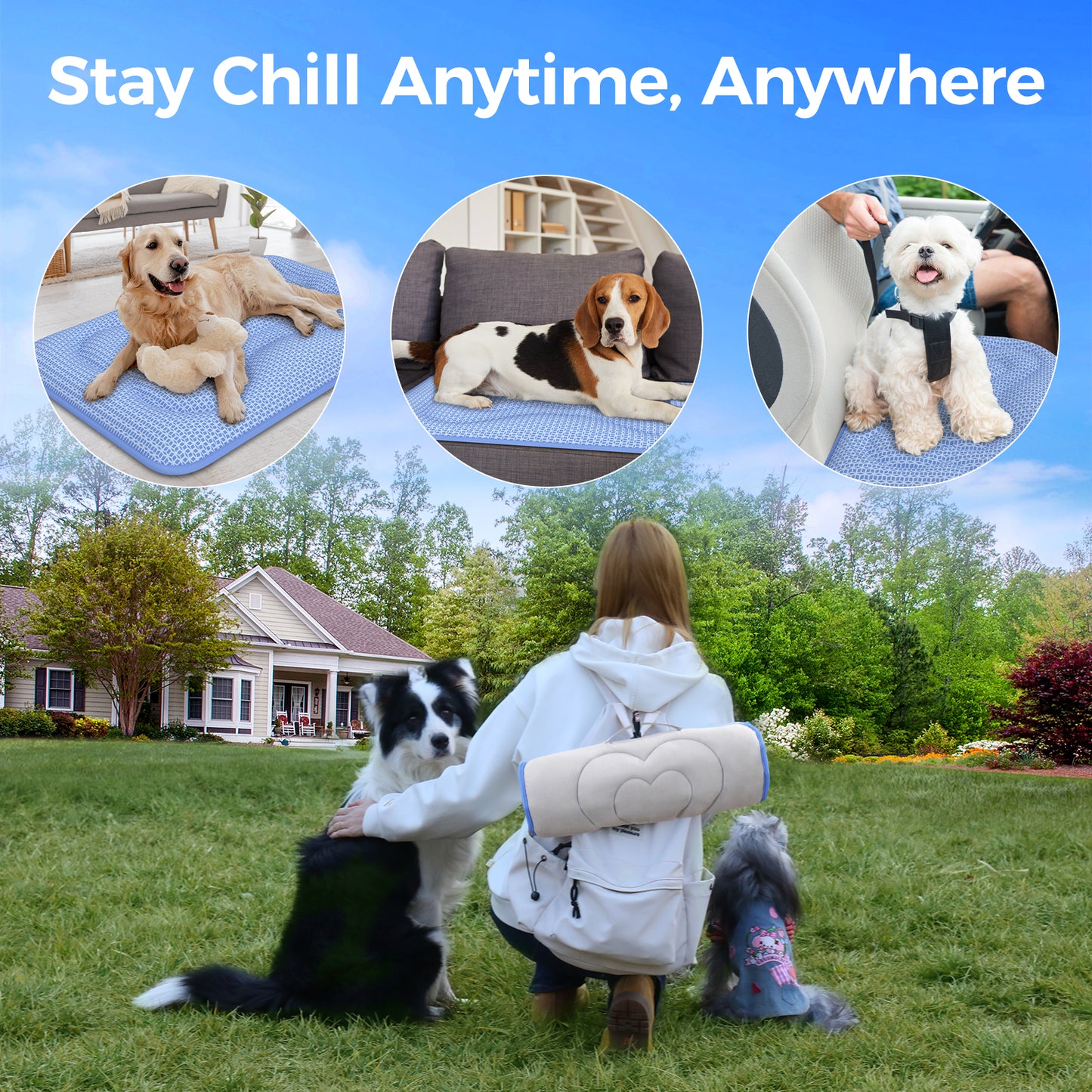 Aship Thicken Cooling Mat for Dog, Reversible PCM Dog Cooling Mat with Q-Max>0.5, Endothermic Color Changing Self-cooling Mat for All-Year Use