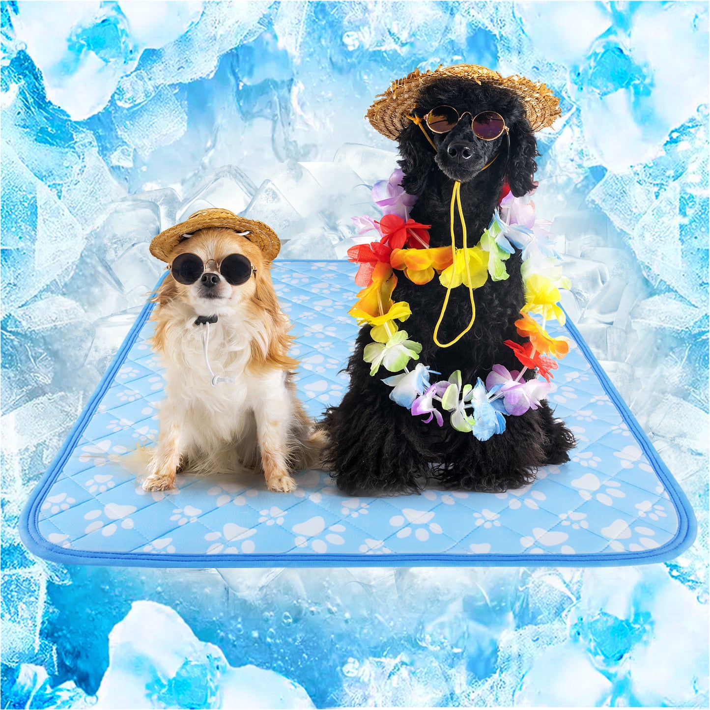 Aship Cat Cooling Mat, Self-Cooling Mat for Small Pets, Arc-Chill Cooling Fiber & Endothermic Color Changing Pet Cooling Pad for Hot Summer, Washable Non-Toxic & Foldable