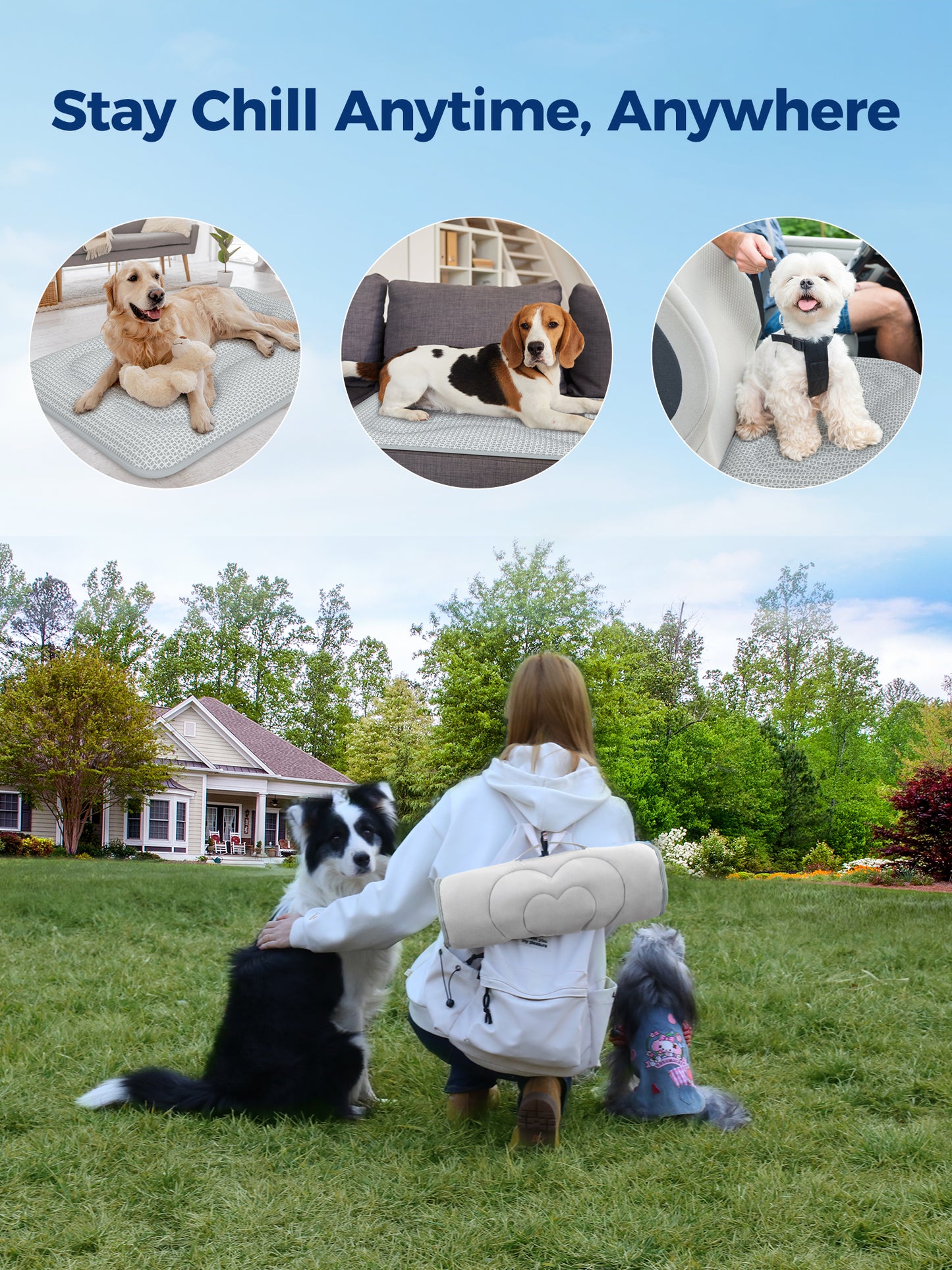 Aship Thicken Cooling Mat for Dog, Reversible PCM Dog Cooling Mat with Q-Max>0.5, Endothermic Color Changing Self-cooling Mat for All-Year Use