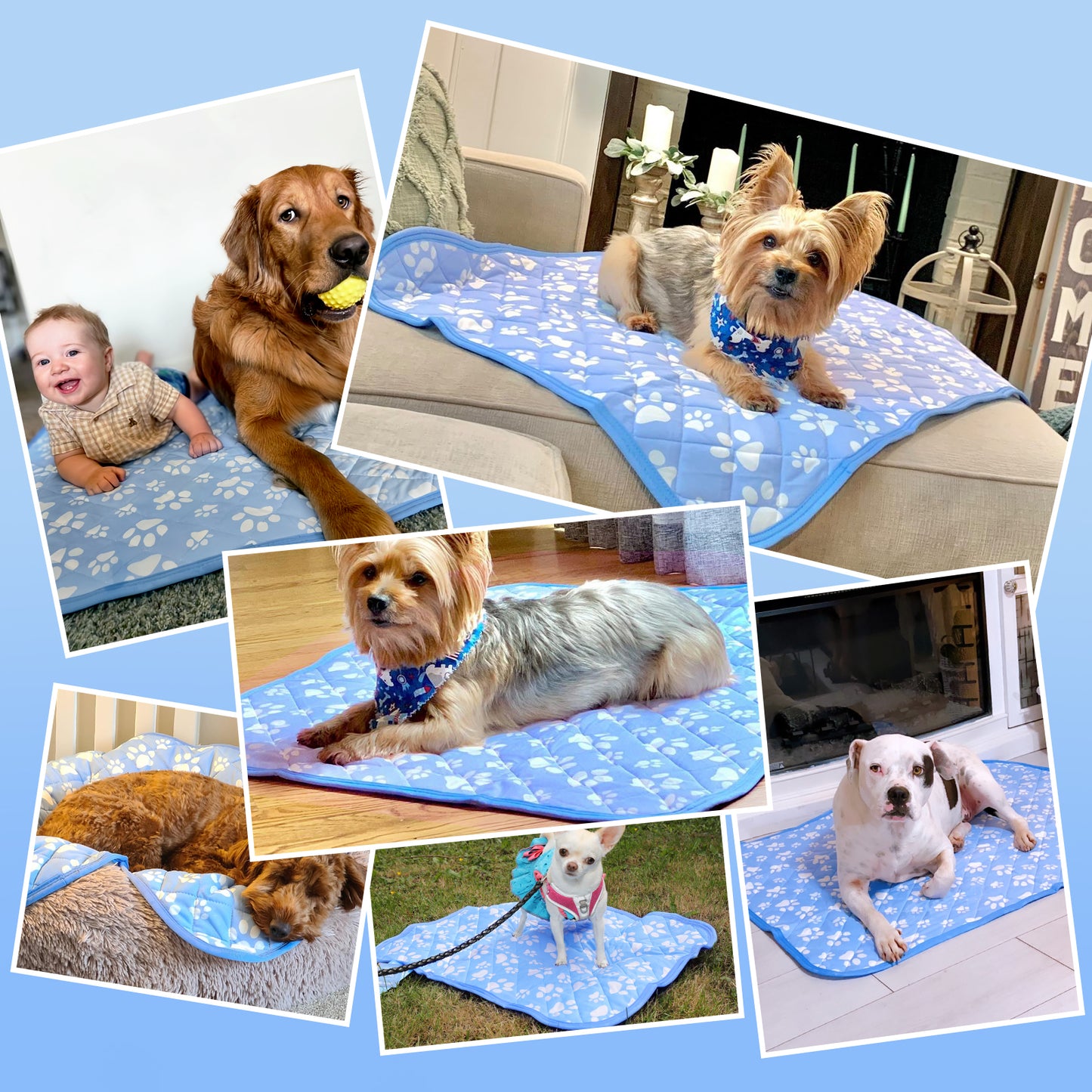 Aship Cat Cooling Mat, Self-Cooling Mat for Small Pets, Arc-Chill Cooling Fiber & Endothermic Color Changing Pet Cooling Pad for Hot Summer, Washable Non-Toxic & Foldable