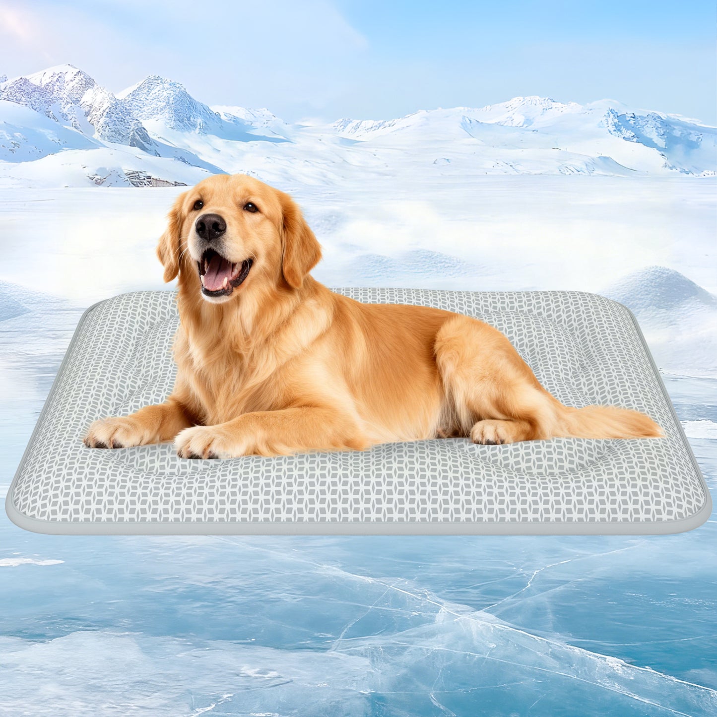 Aship Thicken Cooling Mat for Dog, Reversible PCM Dog Cooling Mat with Q-Max>0.5, Endothermic Color Changing Self-cooling Mat for All-Year Use