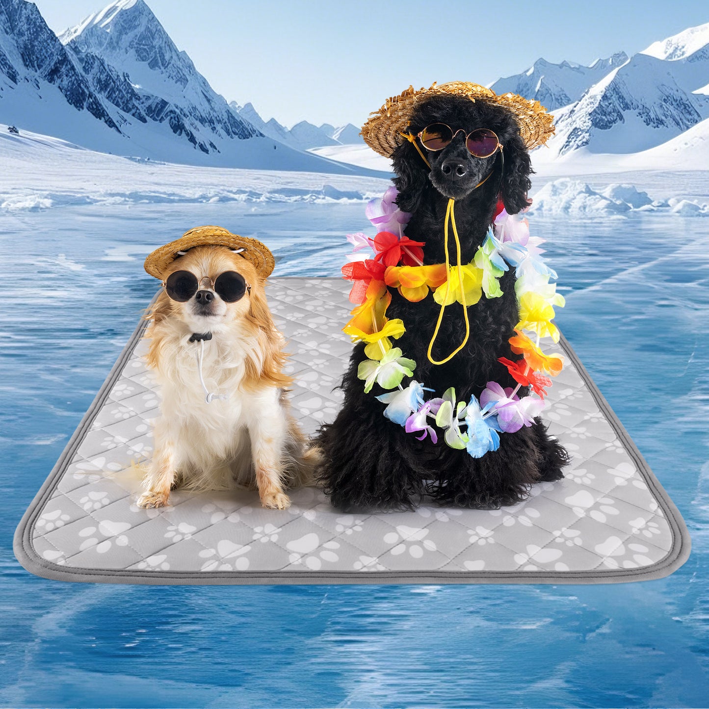 Aship Cat Cooling Mat, Self-Cooling Mat for Small Pets, Arc-Chill Cooling Fiber & Endothermic Color Changing Pet Cooling Pad for Hot Summer, Washable Non-Toxic & Foldable