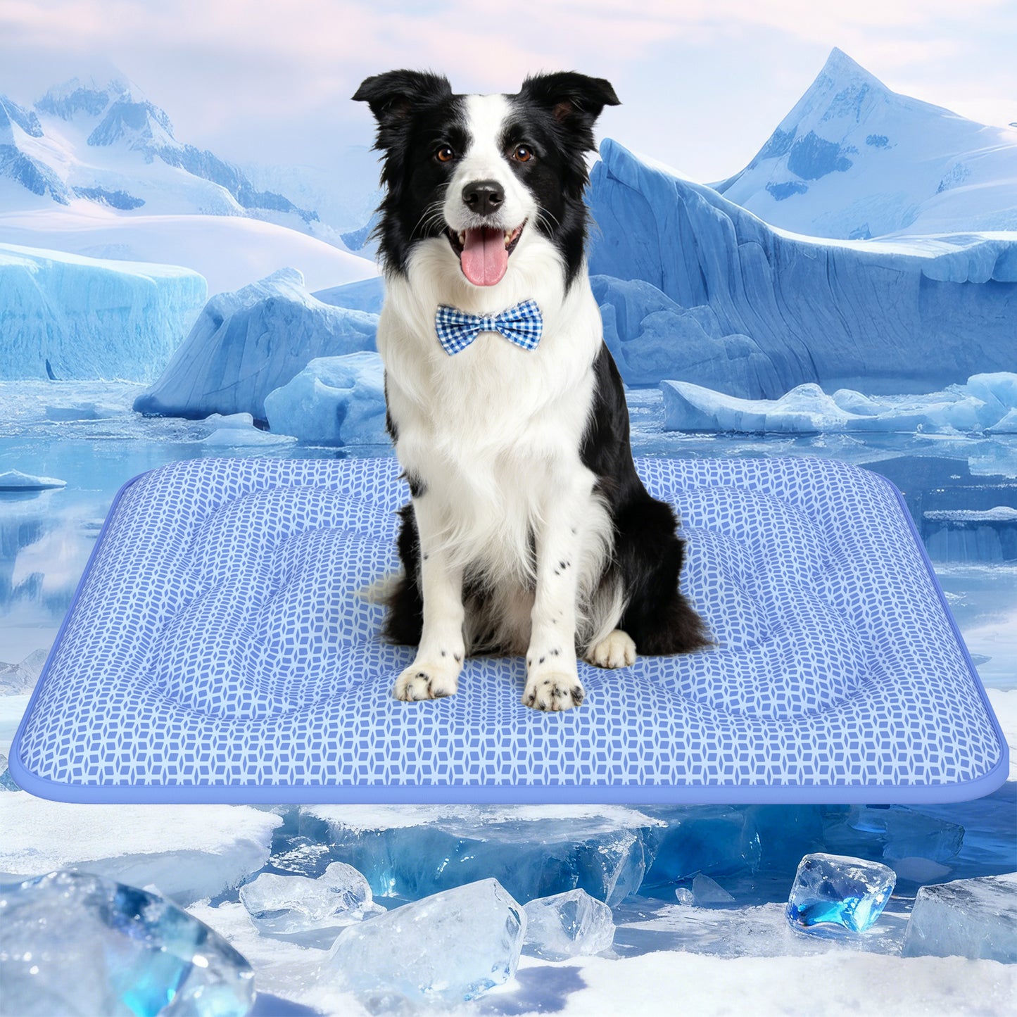 Aship Thicken Cooling Mat for Dog, Reversible PCM Dog Cooling Mat with Q-Max>0.5, Endothermic Color Changing Self-cooling Mat for All-Year Use
