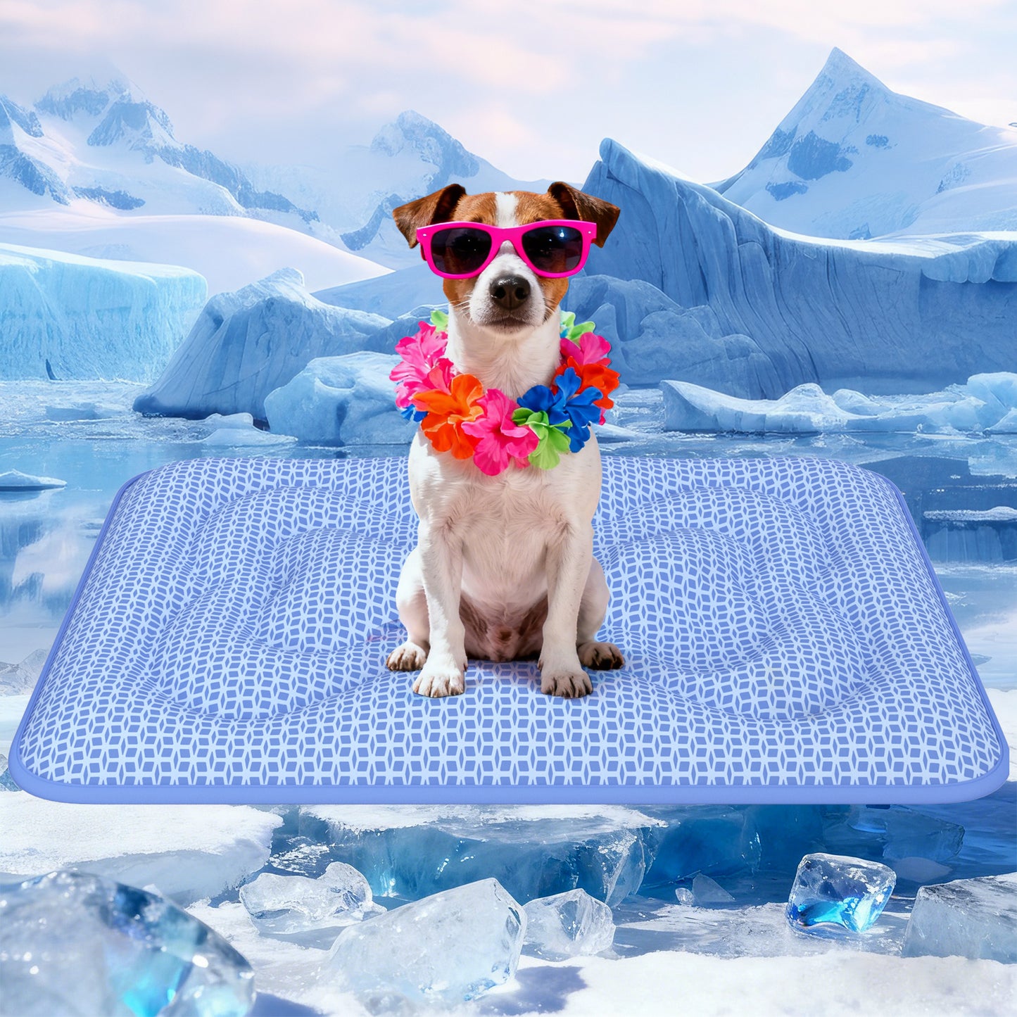 Aship Thicken Cooling Mat for Dog, Reversible PCM Dog Cooling Mat with Q-Max>0.5, Endothermic Color Changing Self-cooling Mat for All-Year Use