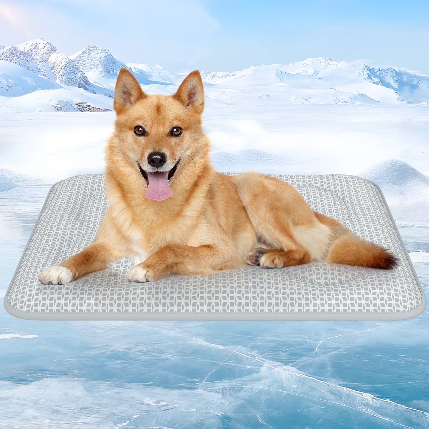 Aship Thicken Cooling Mat for Dog, Reversible PCM Dog Cooling Mat with Q-Max>0.5, Endothermic Color Changing Self-cooling Mat for All-Year Use