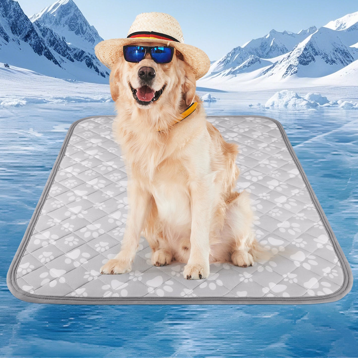 Aship Cat Cooling Mat, Self-Cooling Mat for Small Pets, Arc-Chill Cooling Fiber & Endothermic Color Changing Pet Cooling Pad for Hot Summer, Washable Non-Toxic & Foldable
