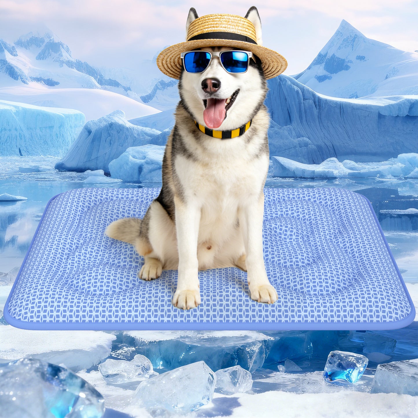 Aship Thicken Cooling Mat for Dog, Reversible PCM Dog Cooling Mat with Q-Max>0.5, Endothermic Color Changing Self-cooling Mat for All-Year Use