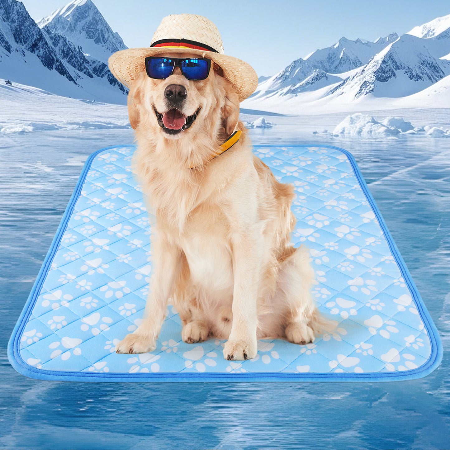 Aship Cat Cooling Mat, Self-Cooling Mat for Small Pets, Arc-Chill Cooling Fiber & Endothermic Color Changing Pet Cooling Pad for Hot Summer, Washable Non-Toxic & Foldable